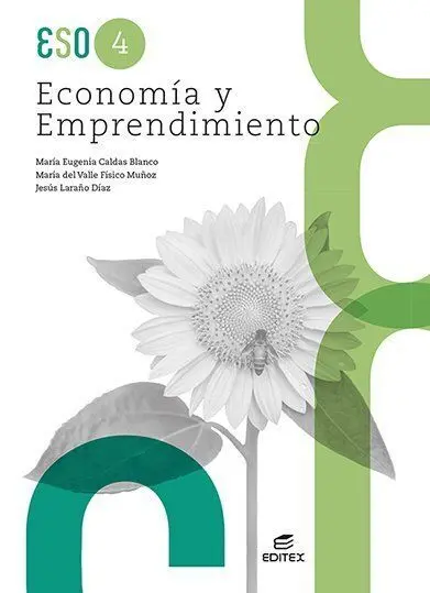 4Eso Economia y Emprendimiento (26)
