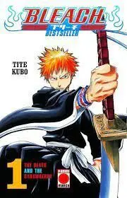 Bleach Bestseller 1 The Death And The Strawberry