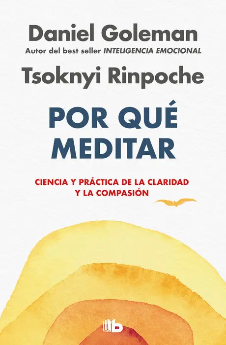 Por que Meditar