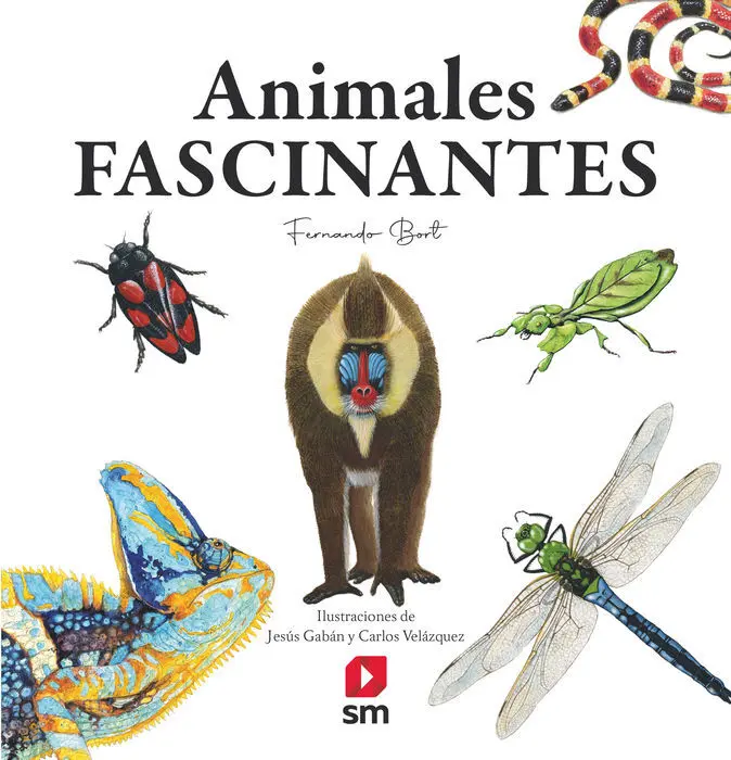 Mi Primer Libro de Animales