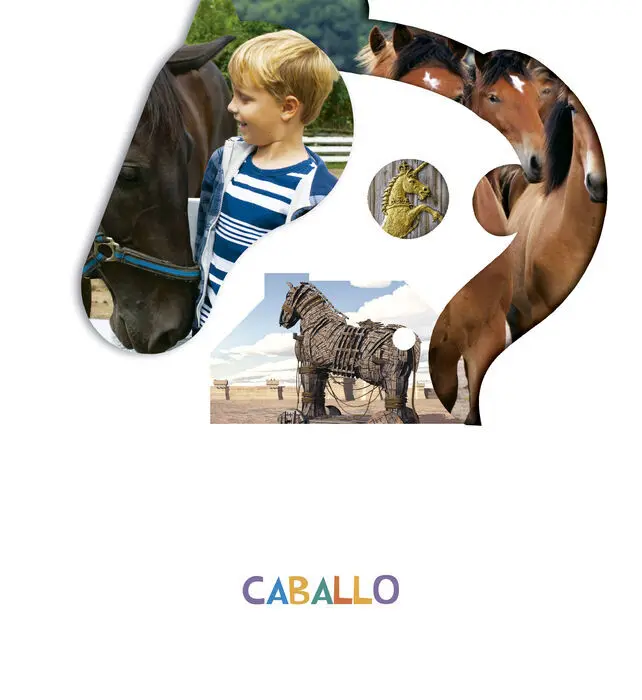 Proyecto ¿Lo Ves? : Caballo