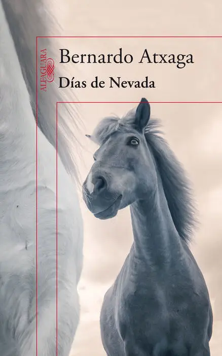 Dias de Nevada Bernardo Atxaga