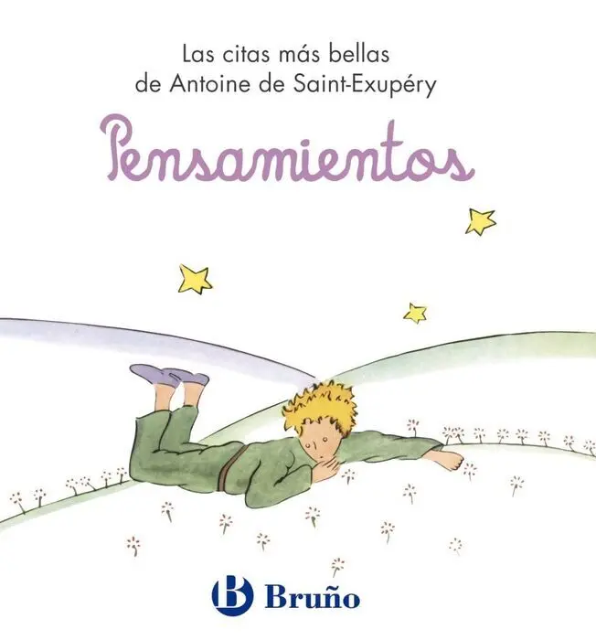 Pensamientos el Principito Bruño