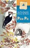 Pico Pic