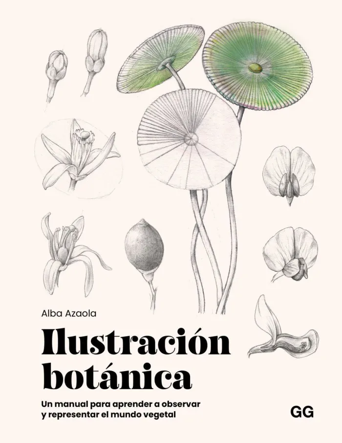 Ilustracion Botanica
