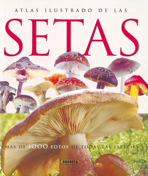 Atlas de las Setas S0851024