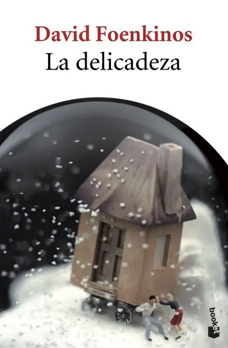 La Delicadeza David Foenkinos