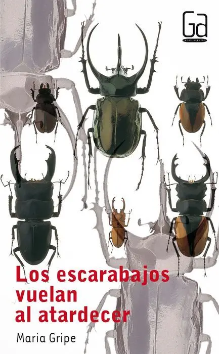Los Escarabajos Vuelan 31 Gran Angular