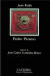 Pedro Paramo Catedra