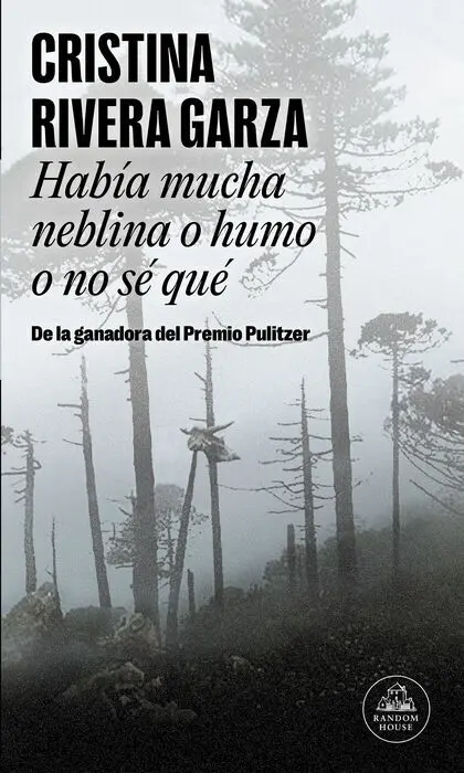 Habia Mucha Neblina o Humo o no se que Cristina R