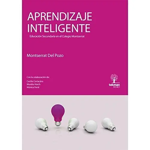 Aprendizaje Inteligente: Educación Secundaria en el Colegio Montserrat