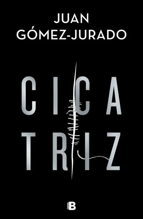 Cicatriz. (La Trama)