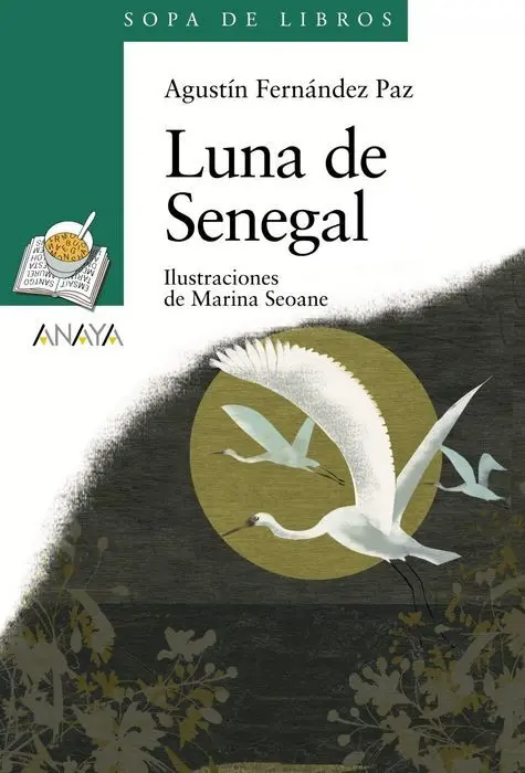 Luna de Senegal Agustin Fernandez Paz