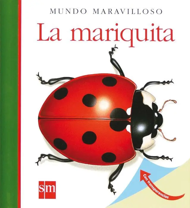 Num. 3 la Mariquita