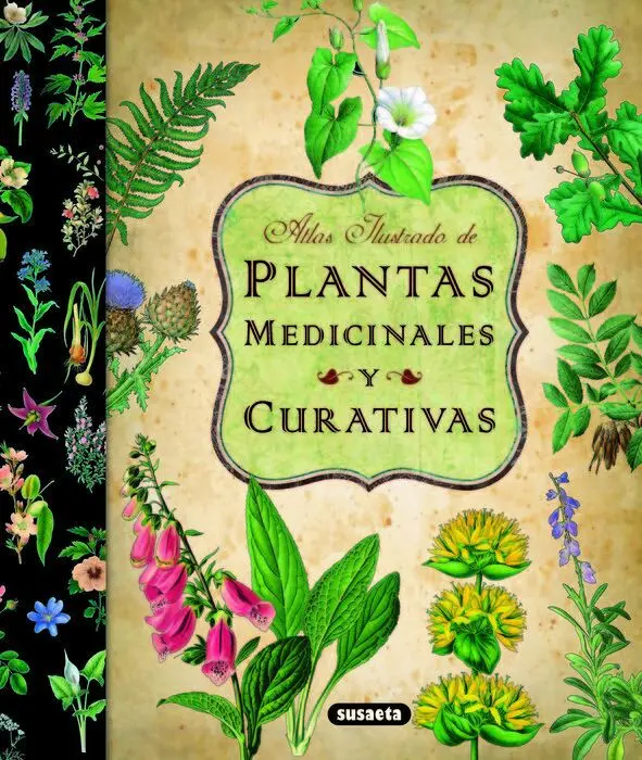 Atlas Ilustrado Plantas Medicinales y Curativas851