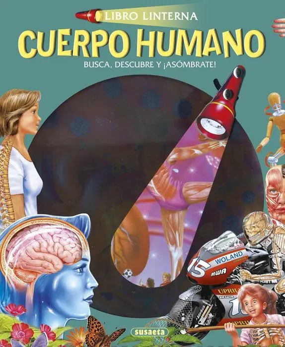Libro Linterna el Cuerpo Humano S3227