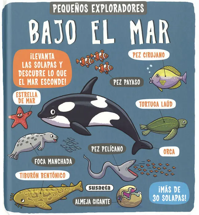 Bajo el Mar (Pequeqos Exp