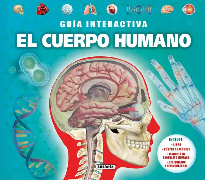 El Cuerpo Humano