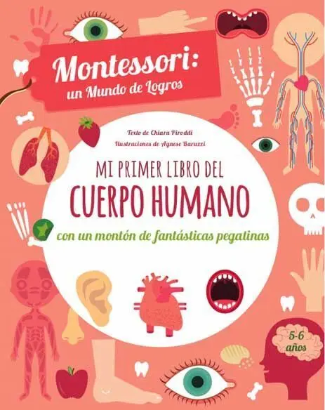 Mi Primer Libro del Cuerpo Humano (Vvkids)