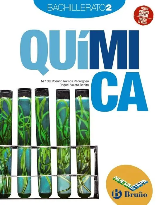 2Bch Quimica Nueva Etapa Bruño (26)