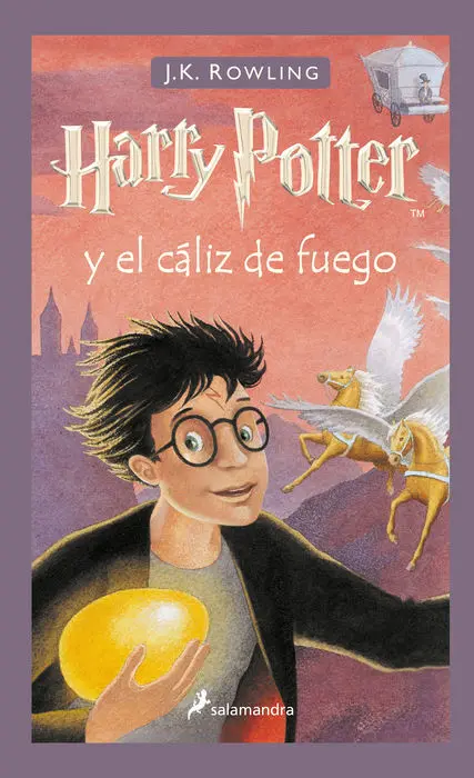 Harry Potter y el Caliz de Fuego 4
