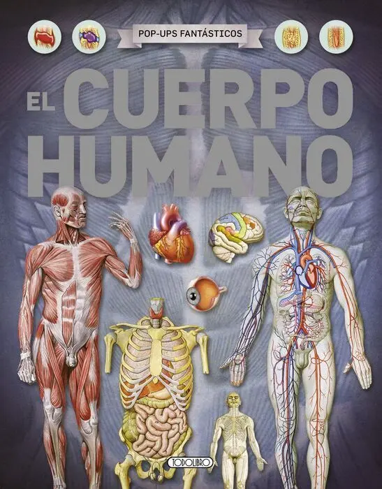 Cuerpo Humano,El
