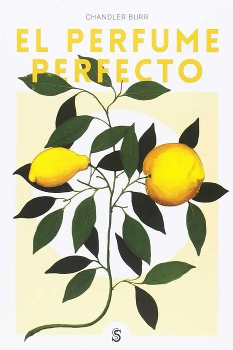 El Perfume Perfecto