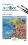 Como Pintar Al Acrilico