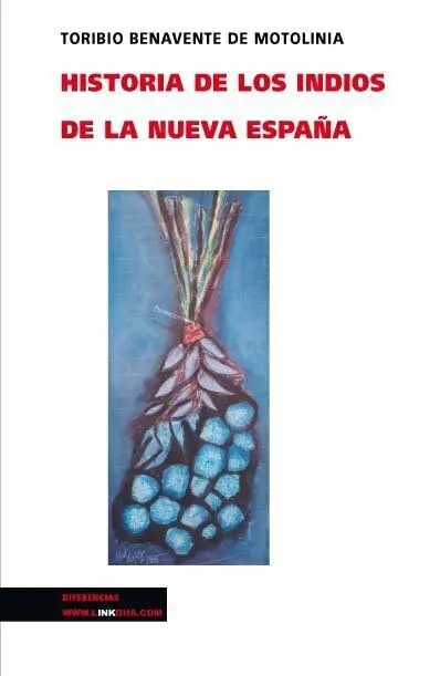 Historia de los Indios de la Nueva España