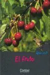 El Fruto