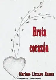 Brota Corazon