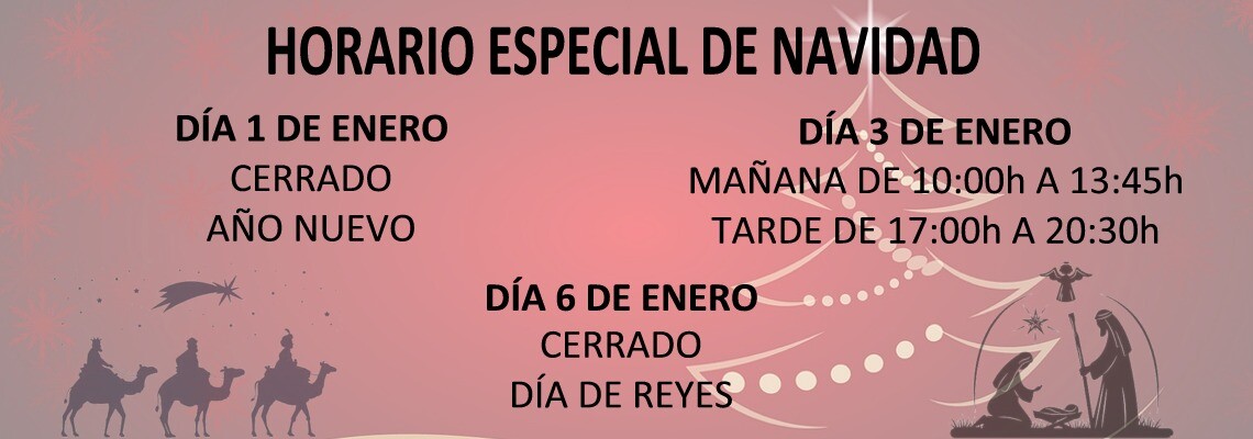 HORARIO NAVIDAD ENERO